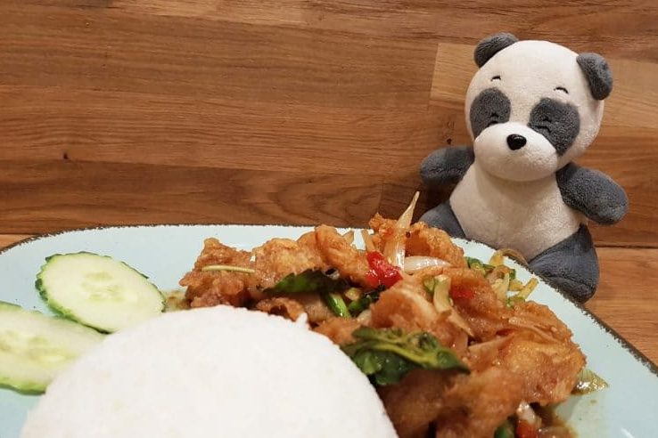 Mister Wong behind a plate of Thai food Ka Prao Pla Thod, deep fried fish with rice.