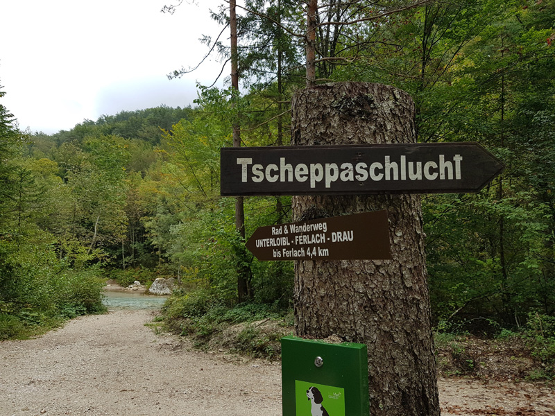 Mister Wong hikes the Tscheppaschlucht Canyon in Carinthia, Kärnten, Austria