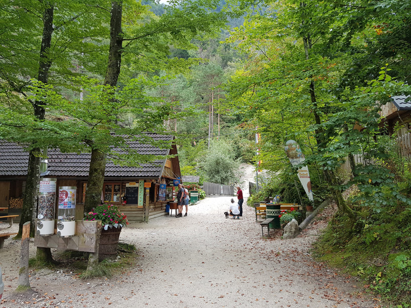 Mister Wong hikes the Tscheppaschlucht Canyon in Carinthia, Kärnten, Austria