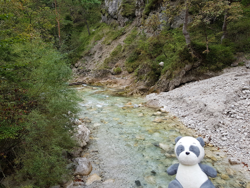 Mister Wong hikes the Tscheppaschlucht Canyon in Carinthia, Kärnten, Austria