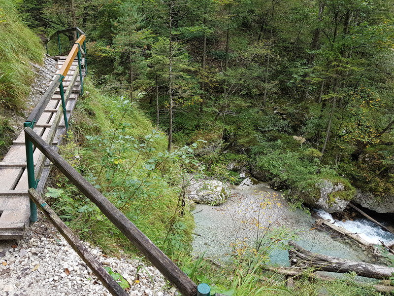 Mister Wong hikes the Tscheppaschlucht Canyon in Carinthia, Kärnten, Austria