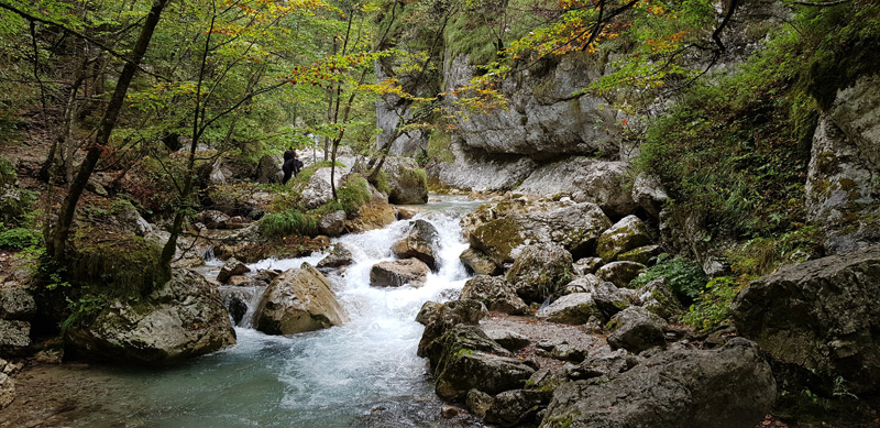 Mister Wong hikes the Tscheppaschlucht Canyon in Carinthia, Kärnten, Austria