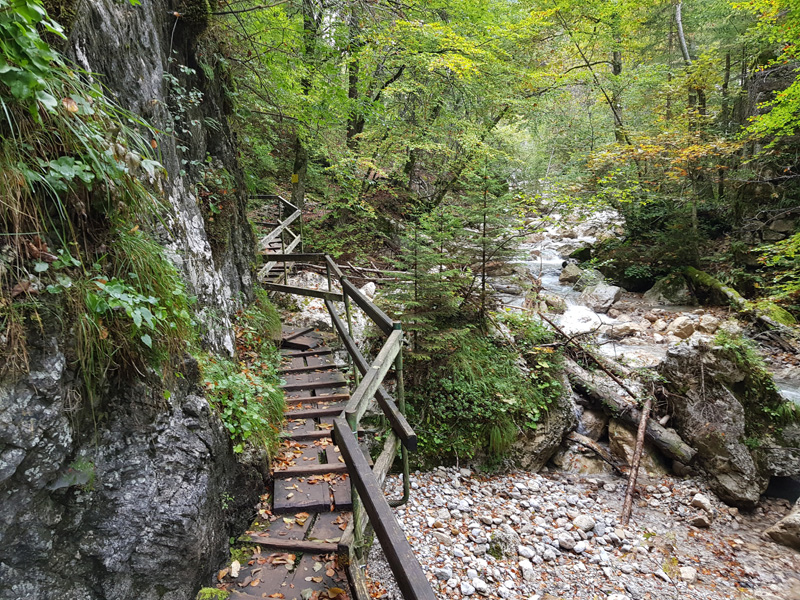 Mister Wong hikes the Tscheppaschlucht Canyon in Carinthia, Kärnten, Austria