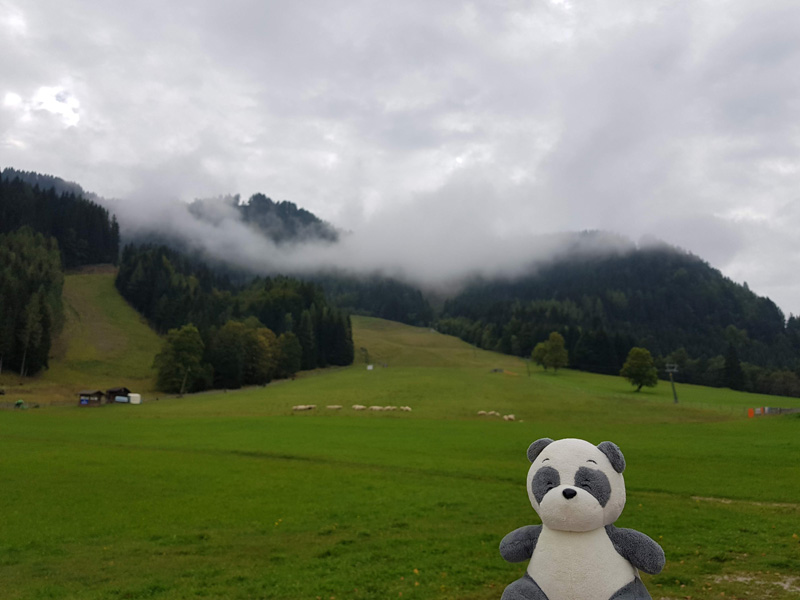 Mister Wong hikes the Tscheppaschlucht Canyon in Carinthia, Kärnten, Austria