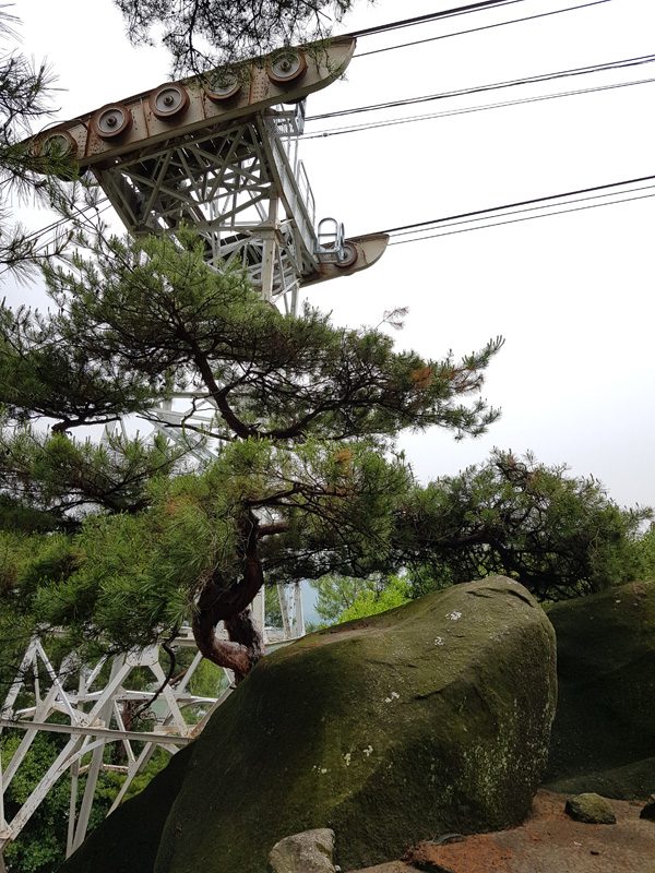 Mister Wong in Onomichi, Japan, Okayama Preceture, Port, Cat Lover City, Shrine, Temple, Cable Car, Look-Out, panoramic view