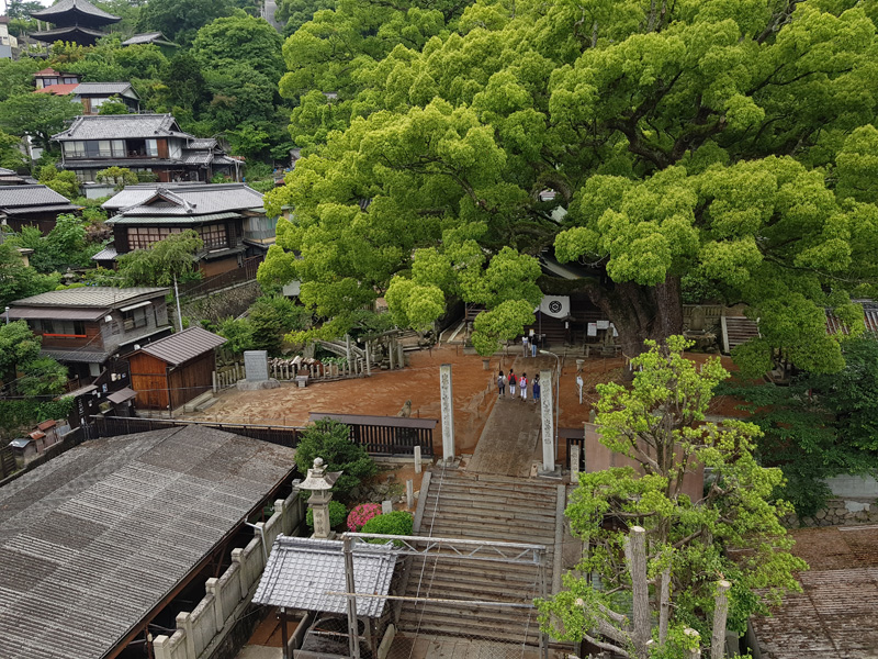 Mister Wong in Onomichi, Japan, Okayama Preceture, Port, Cat Lover City, Shrine, Temple