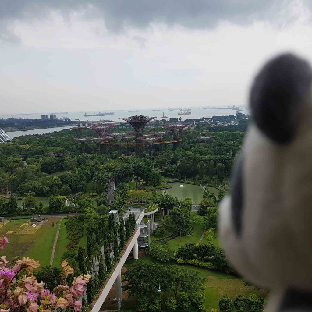 Top View of the Gardens by the Bay from 22nd floor of Marina Bay Sands Hotel, Singapore