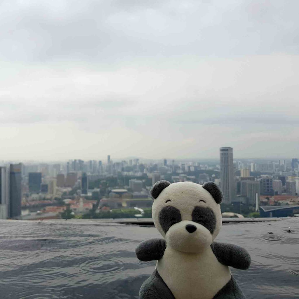 Mister Wong in the Infinity Pool on top of Marina Bay Sands Hotel, Singapore